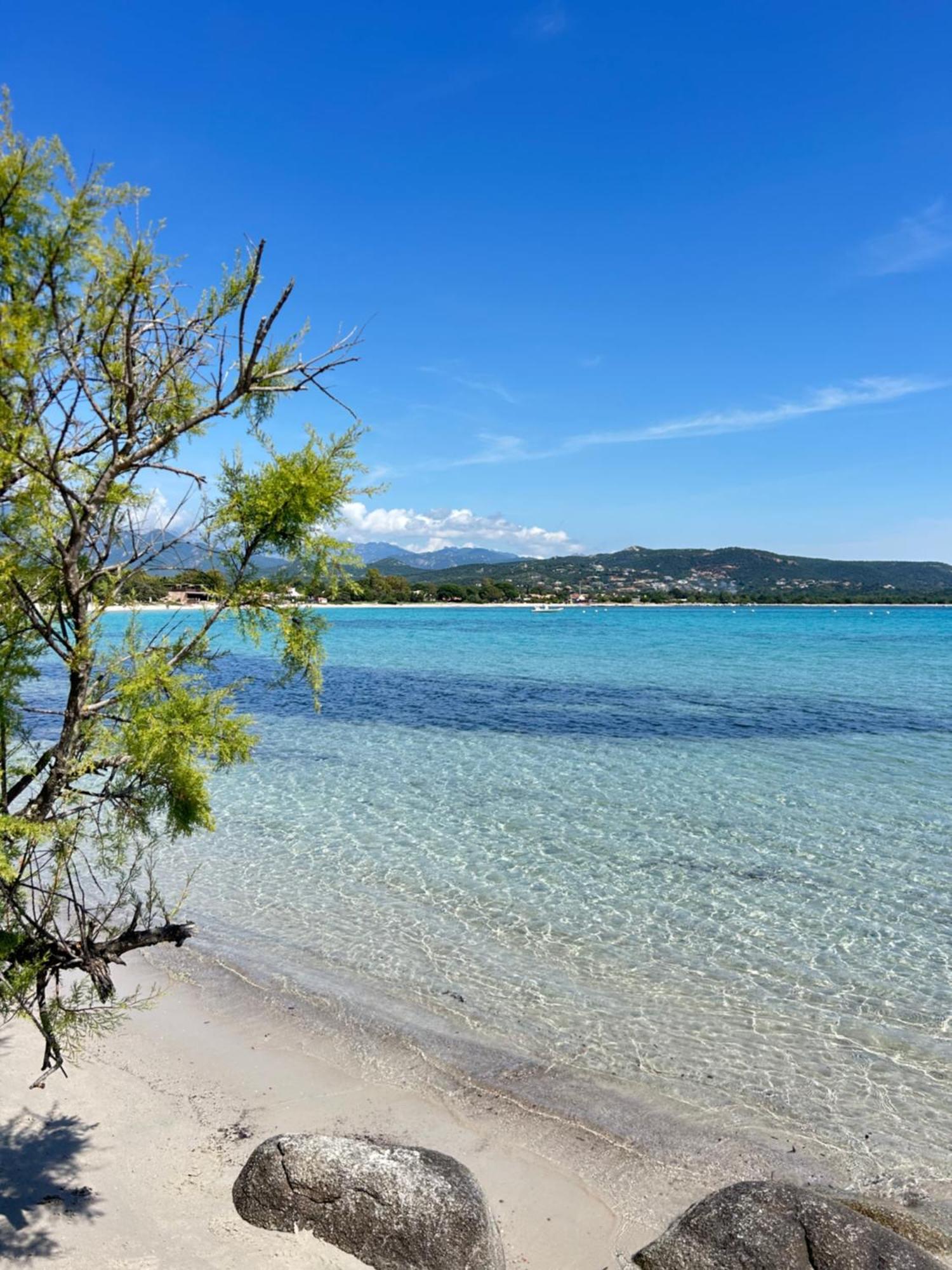 Hébergement de vacances Cala Rossa, - 5 Minutes De La Tres Belle De Cala Rossa *